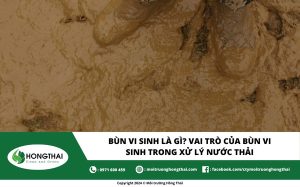 Bùn vi sinh là gì? Vai trò của bùn vi sinh trong xử lý nước thải