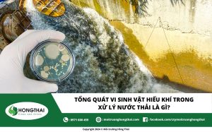 Tổng quát vi sinh vật hiếu khí trong xử lý nước thải là gì?