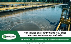 Top những Cách xử lý nước thải bằng phương pháp sinh học phổ biến