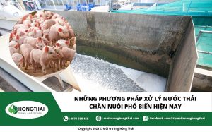 Những phương pháp xử lý nước thải chăn nuôi phổ biến hiện nay