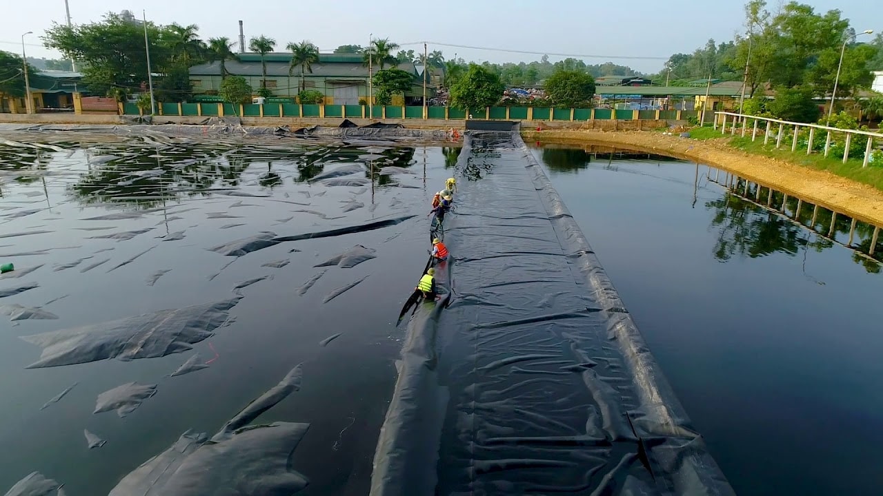 Hồ sinh học hiếu khí với quá trình quang hợp của tảo