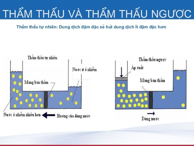 Hệ thống xử lý nước tinh khiết