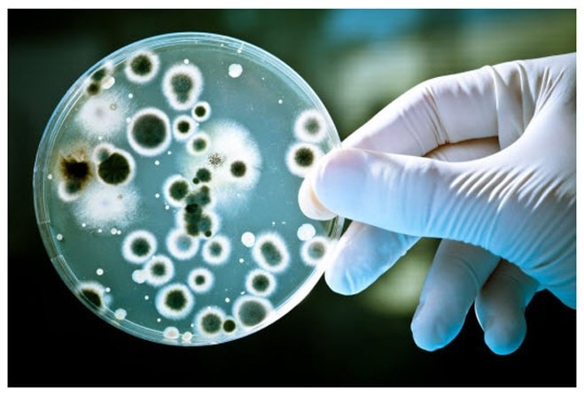 Cách xử lý coliform trong nước sinh hoạt
