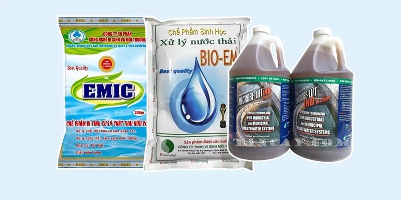 xử lý mùi hôi nước thải