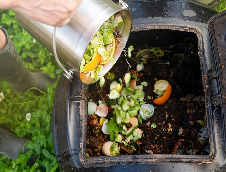 Vườn rau phát triển xanh tốt nhờ phân compost từ ủ hiếu khí, hỗ trợ nông nghiệp sạch