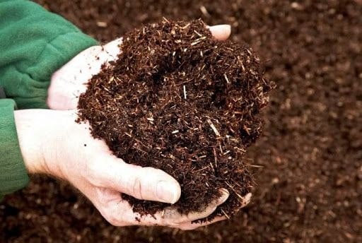 Phân compost hiếu khí tơi xốp, màu nâu đậm, giàu dinh dưỡng cho cây trồng
