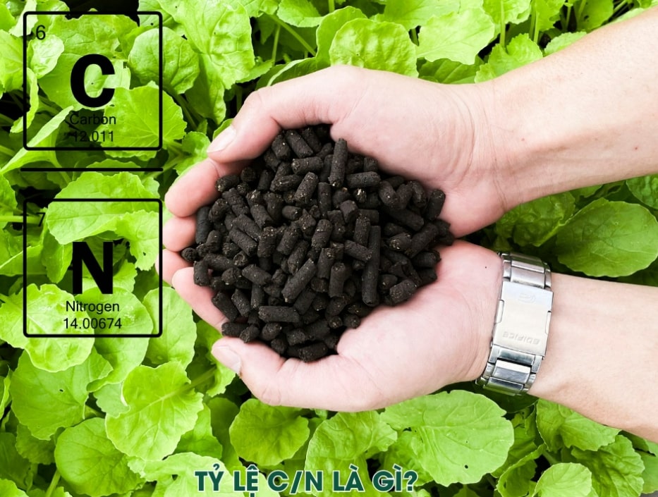 Tỷ lệ C/N trong ủ phân hữu cơ với nguồn nguyên liệu giàu carbon và nitơ