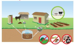Hệ thống hầm biogas xử lý chất thải chăn nuôi tại trang trại hiện đại