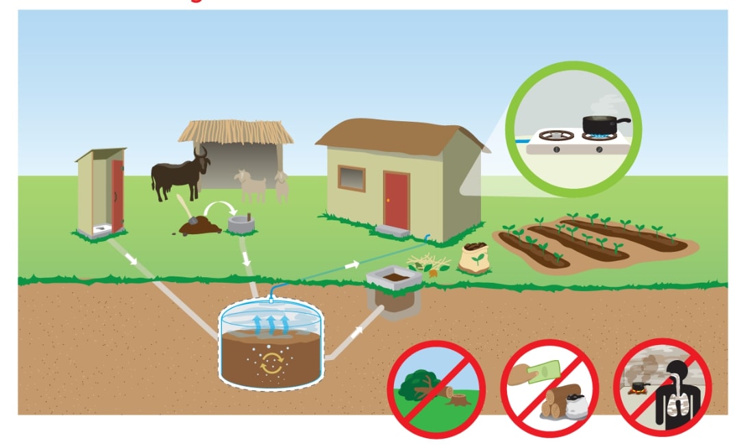 Hệ thống hầm biogas xử lý chất thải chăn nuôi tại trang trại hiện đại