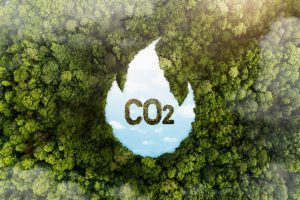 Tìm hiểu khái niệm: Tín chỉ carbon là gì?