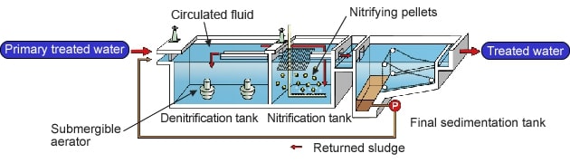 Giới thiệu cấu tạo bể anoxic