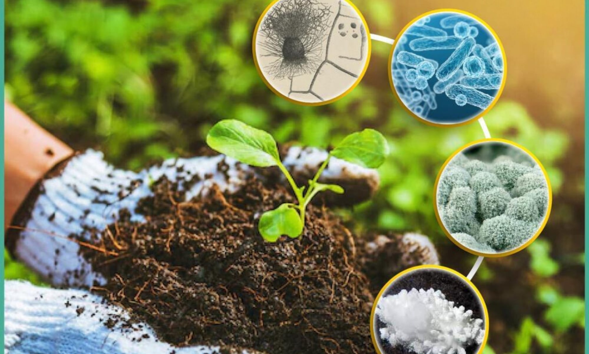 Ứng dụng chế phẩm vi sinh trong xử lý nước thải và nông nghiệp