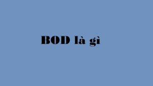 Đo chỉ số BOD trong nước thải 