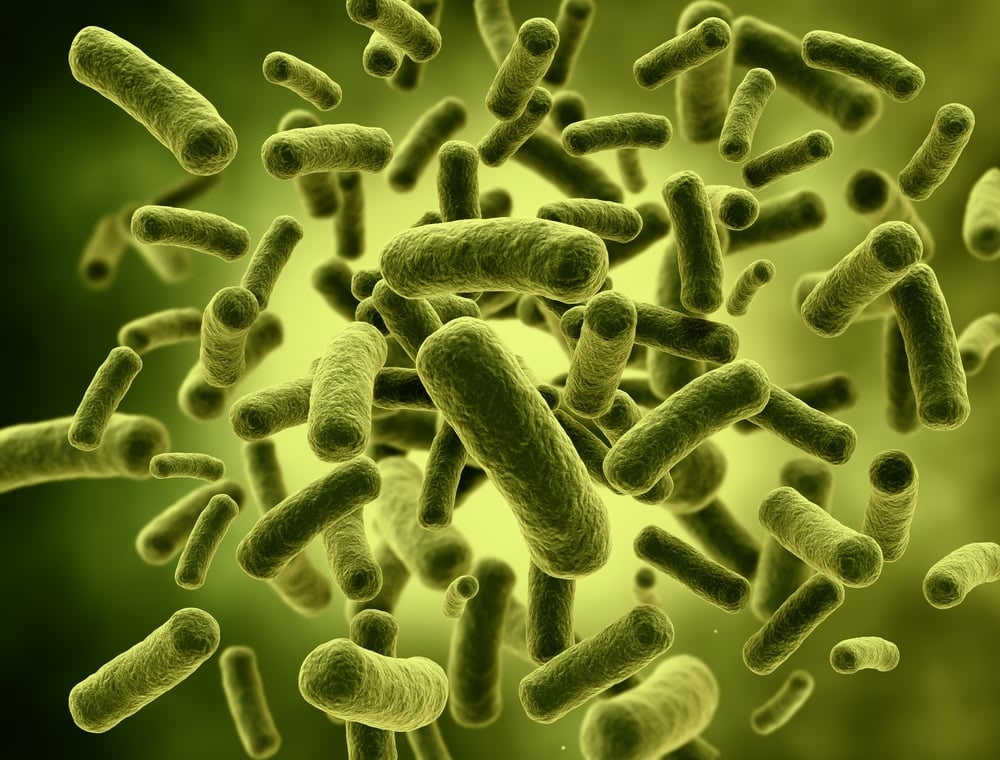 Giới thiệu về vi khuẩn coliform