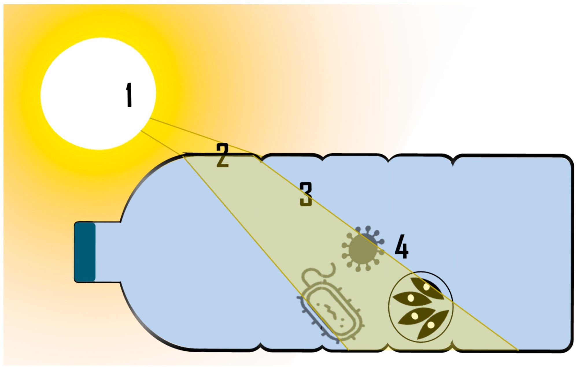 Loại bỏ coliform bằng phương pháp SODIS