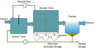 Vai trò bể Anoxic trong so sánh công nghệ AAO và AO