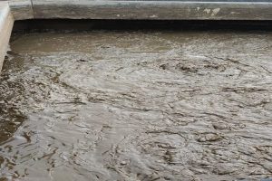 Giải pháp tối ưu trong quy trình xử lý bùn thải
