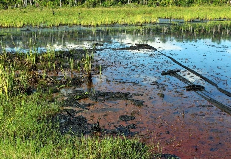 Asen gây ô nhiễm nguồn nước canh tác