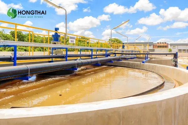 Nồng độ hữu cơ cao trong nước thải làm tăng nhu cầu oxy sinh học (BOD)