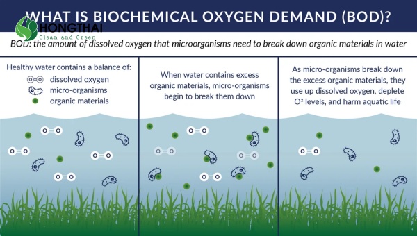 Quá trình vi sinh vật hiếu khí phân hủy chất hữu cơ trong nước thải