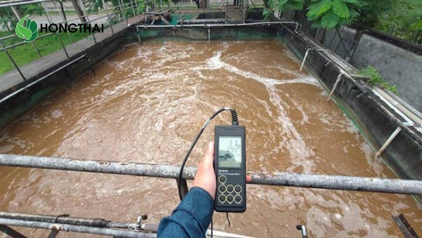 Chỉ số BOD phản ánh mức ô nhiễm hữu cơ trong nước thải