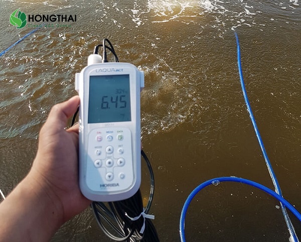 Đo nồng độ oxy hòa tan trong nước thải sinh học