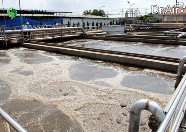 Xử lý COD bằng vi sinh hiếu khí