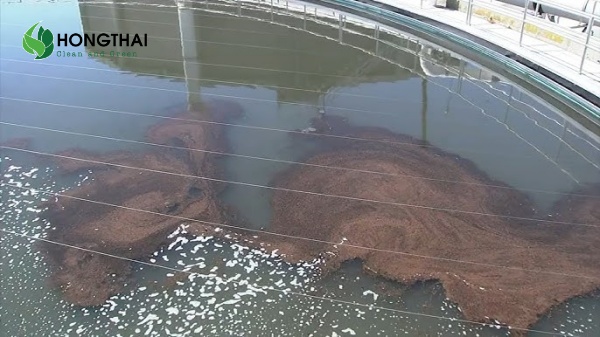 Ảnh hưởng của chất rắn lơ lửng SS đến hệ thống xử lý nước thải