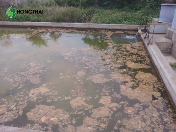 Mẫu nước thải chứa chất rắn lơ lửng