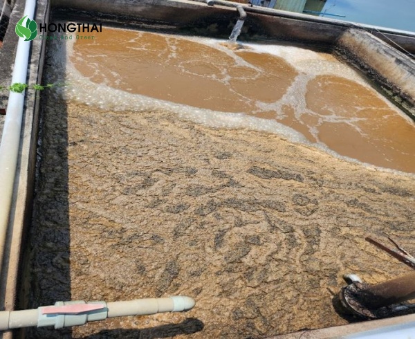 Tỷ lệ MLVSS MLSS phản ánh hoạt động vi sinh vật