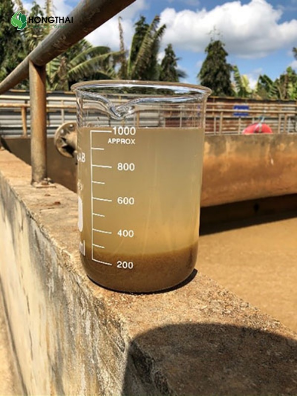 Mẫu bùn lắng trong ống đong sau 30 phút thử nghiệm SV30