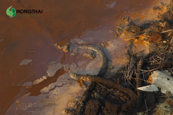 Nước thải có nồng độ TSS cao gây đục và ảnh hưởng hiệu suất xử lý