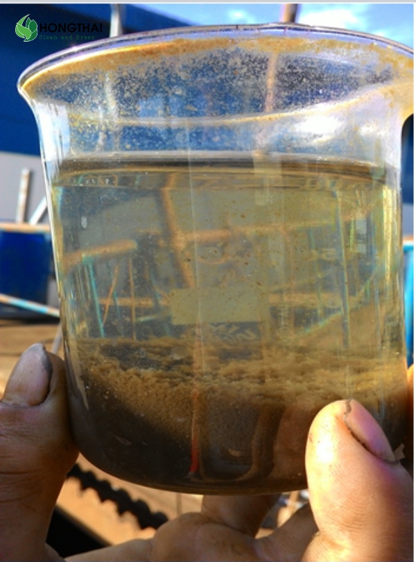 Mẫu nước thải chứa nhiều hạt rắn lơ lửng thể hiện chỉ số TSS cao