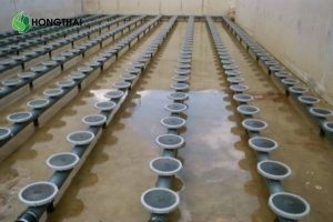 Kiểm soát chỉ số VSS trong bể aerotank