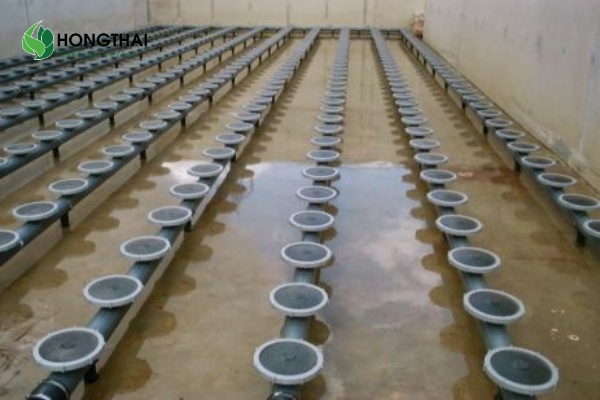 Kiểm soát chỉ số VSS trong bể aerotank