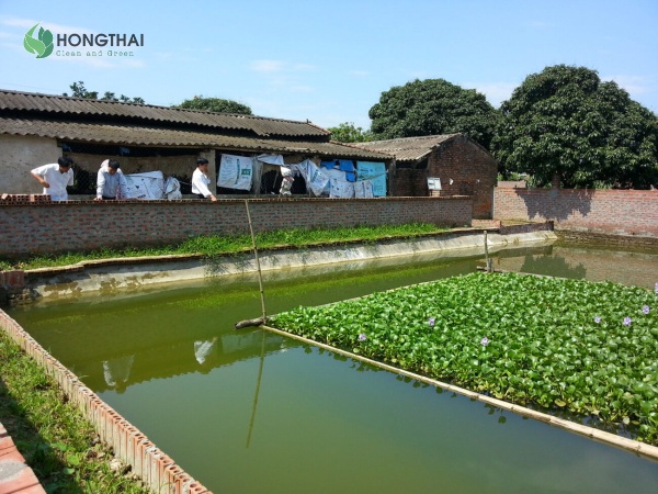 Các lưu ý quan trọng khi xử lý nước ao tù để đảm bảo an toàn và hiệu quả