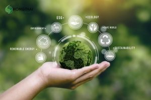 Lợi ích ISO 14001 trong phát triển bền vững và tuân thủ môi trường