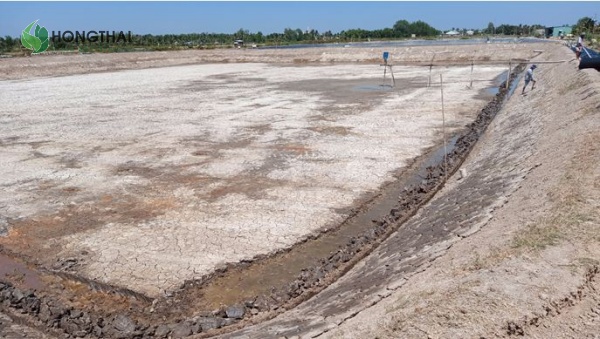 Cải tạo ao nuôi tôm đúng kỹ thuật