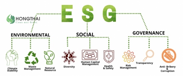 Doanh nghiệp phát triển bền vững nhờ tiêu chuẩn ESG