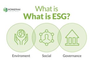 Khái niệm ESG ba trụ cột môi trường xã hội quản trị