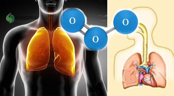 Ảnh minh họa tác động của ozone lên hệ hô hấp con người