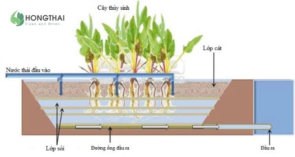 Sơ đồ nguyên lý hệ thống đất ngập nước nhân tạo trong xử lý nước thải