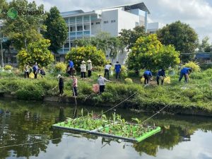 Hệ thống xử lý dạng kênh hoặc hồ cây xanh đẹp