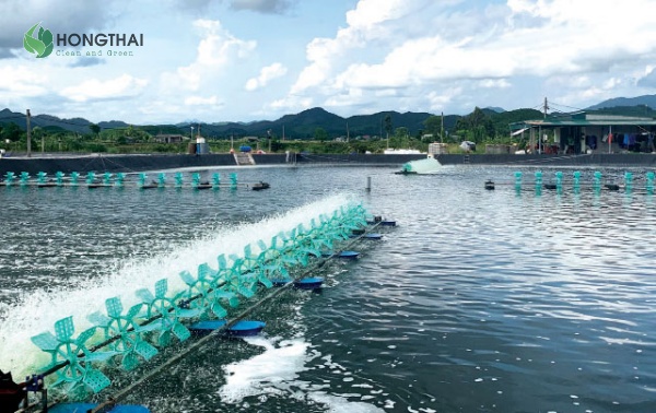 Hệ thống quạt nước cho ao nuôi tôm thâm canh